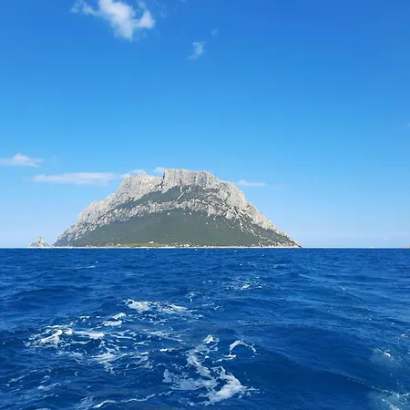 Sustainable Near Costa Smeralda